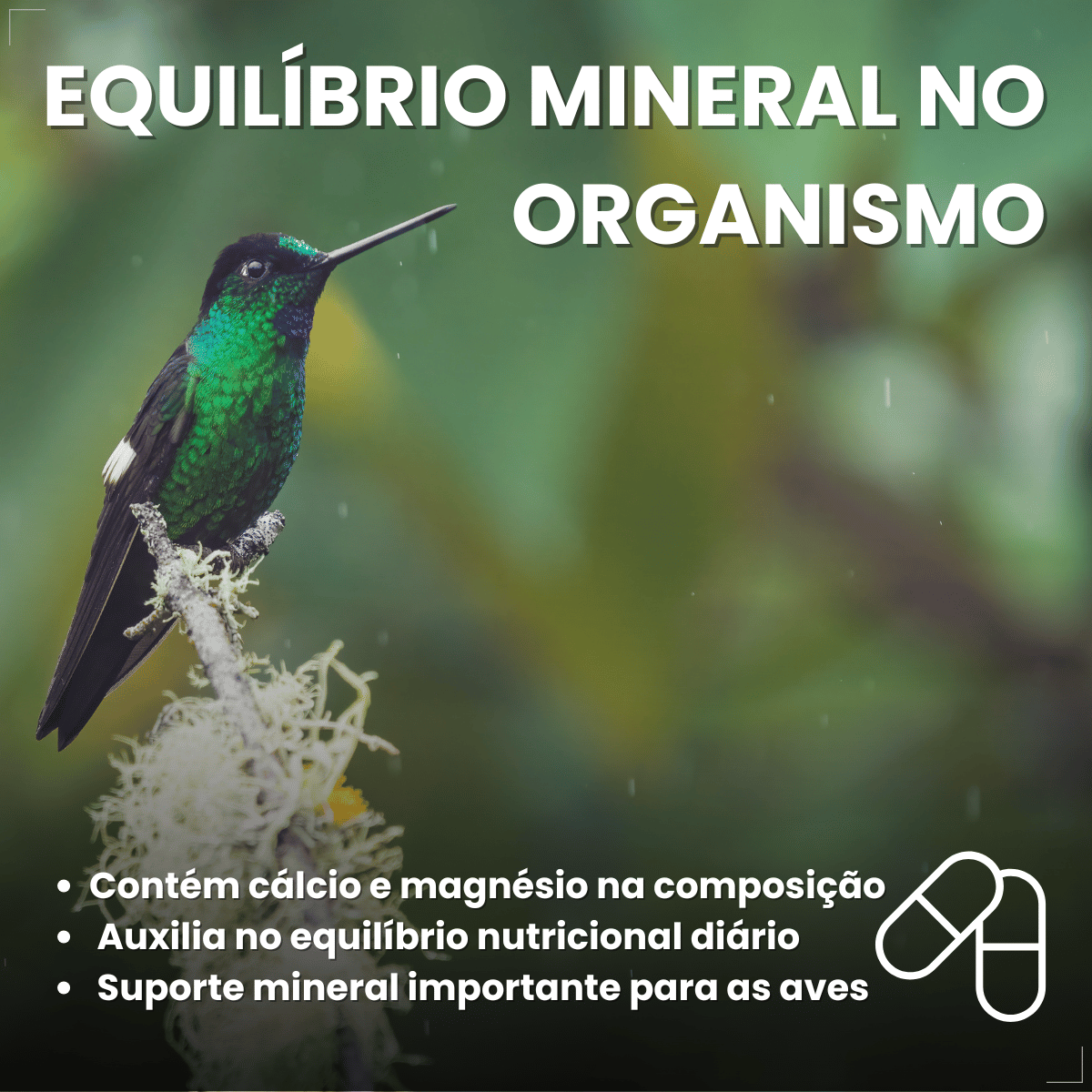 Avitrin Cálcio Plus 15ml Fraqueza Fortalece Ave Passaros