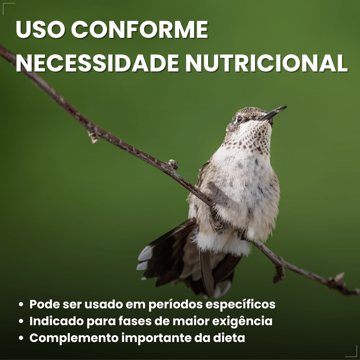 Avitrin Cálcio Plus 15ml Fraqueza Fortalece Ave Passaros