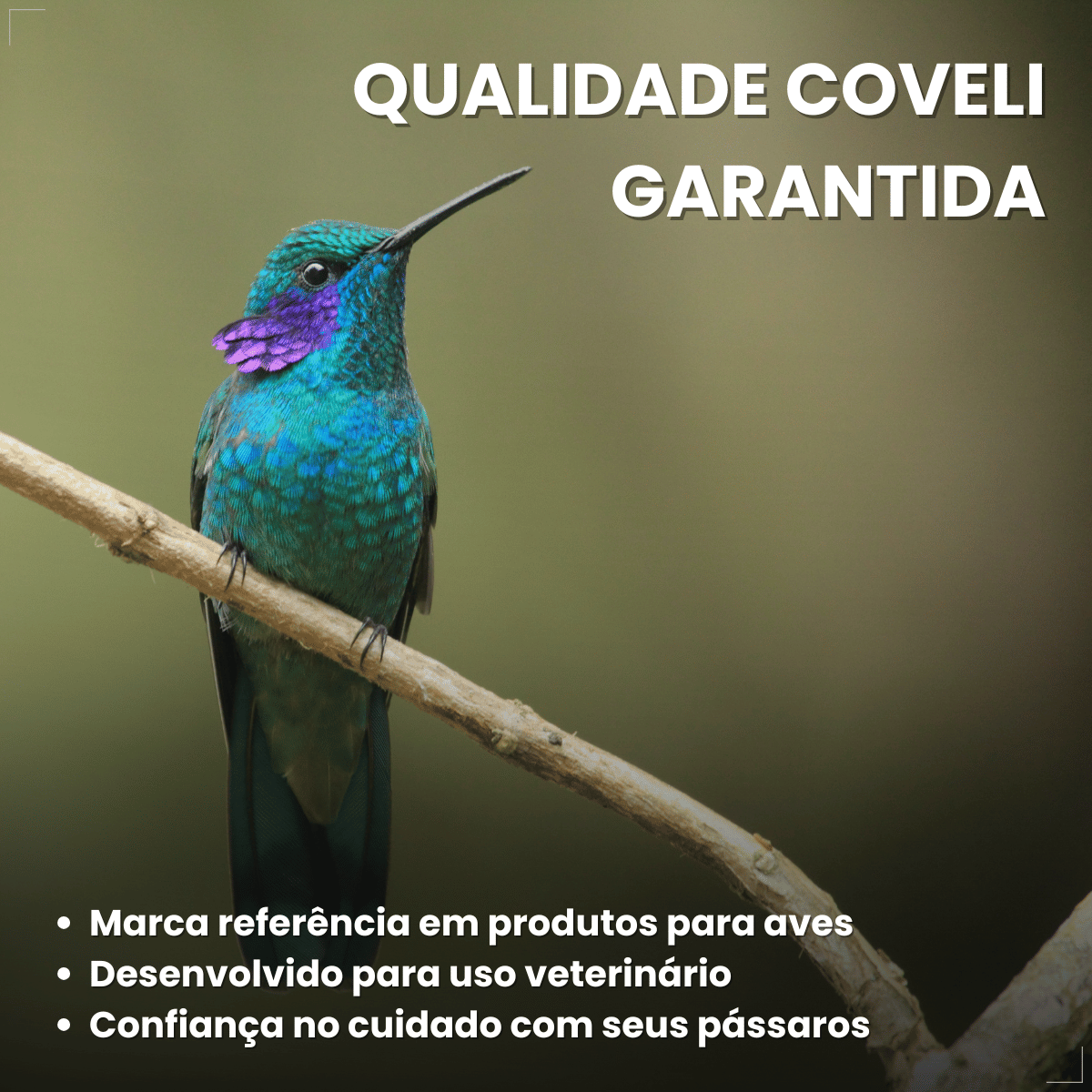 Avitrin Cálcio Plus 15ml Fraqueza Fortalece Ave Passaros