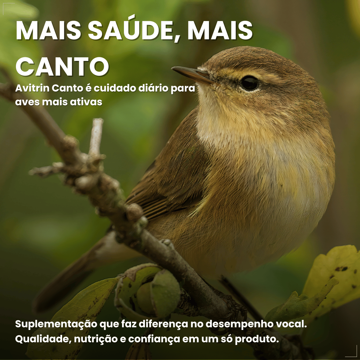 Avitrin Suplemento Vitamina Aves/passaros Canto 15ml Coveli