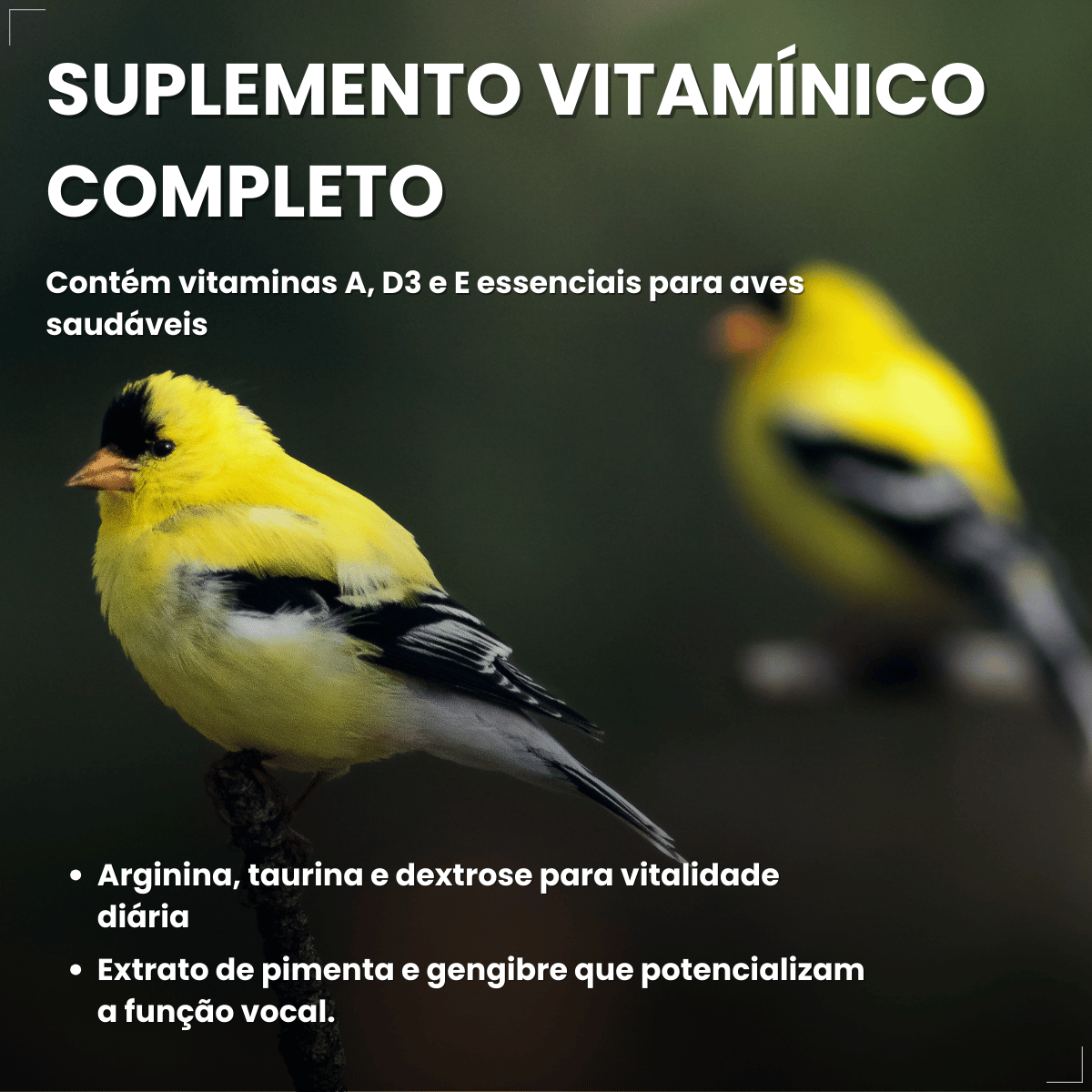 Avitrin Suplemento Vitamina Aves/passaros Canto 15ml Coveli