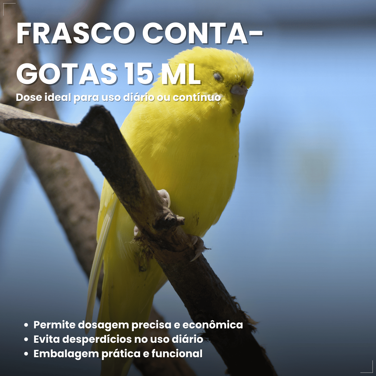 Avitrin Suplemento Vitamina Aves/passaros Canto 15ml Coveli