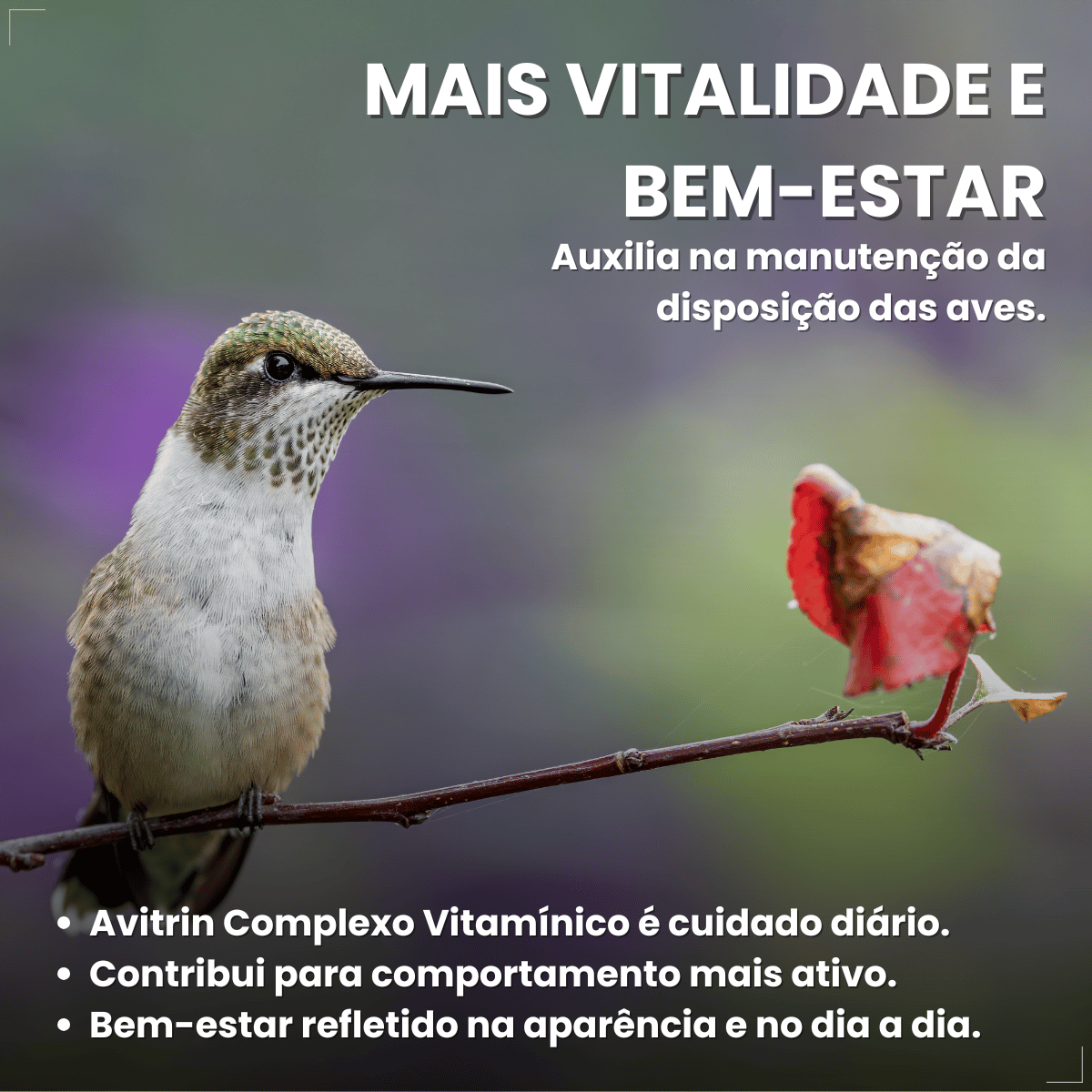 Avitrin Complexo Vitamínico 15ml Coveli