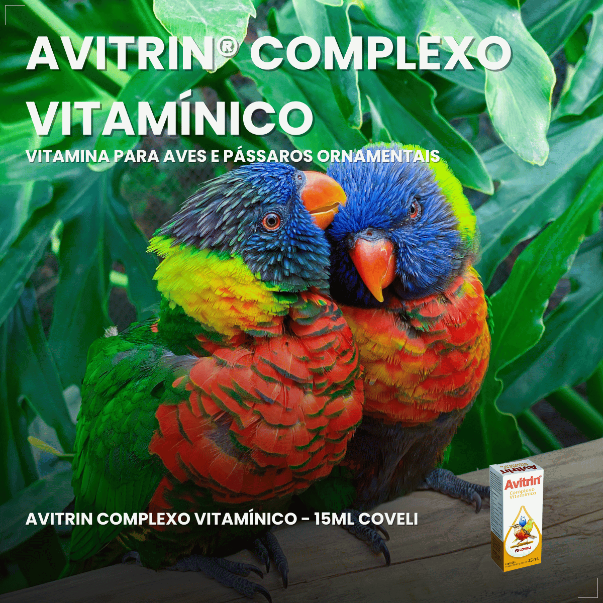 Avitrin Complexo Vitamínico 15ml Coveli