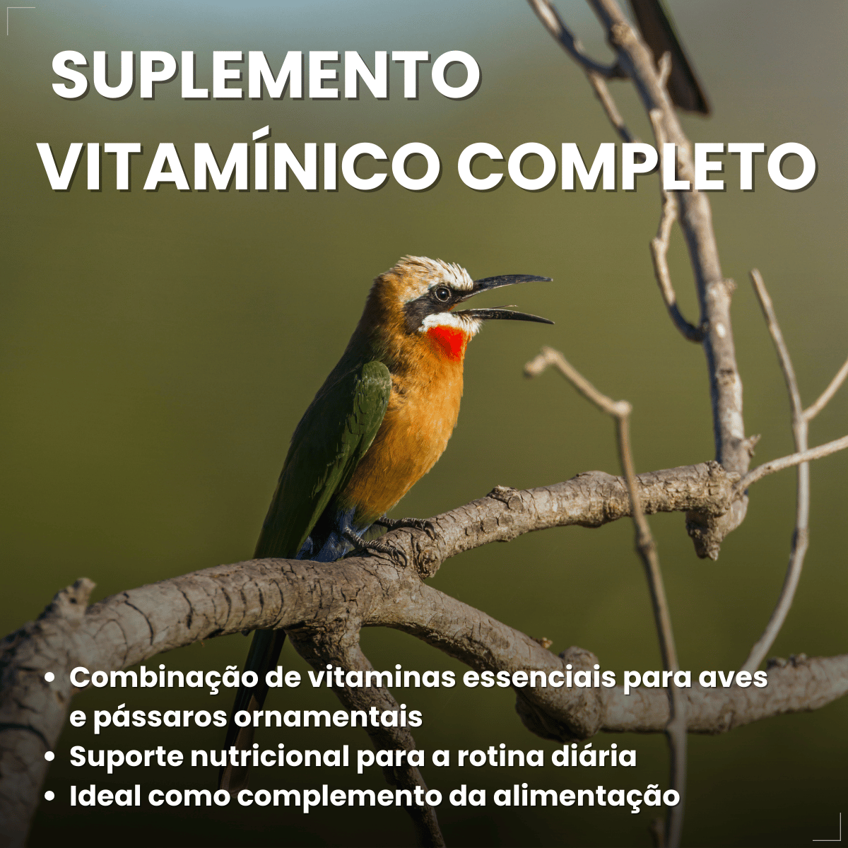 Avitrin Complexo Vitamínico 15ml Coveli