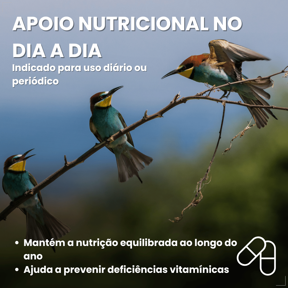 Avitrin Complexo Vitamínico 15ml Coveli