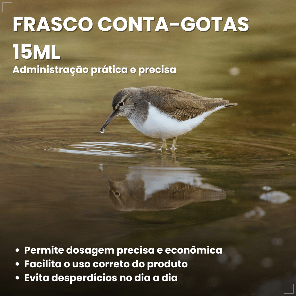 Avitrin Complexo Vitamínico 15ml Coveli