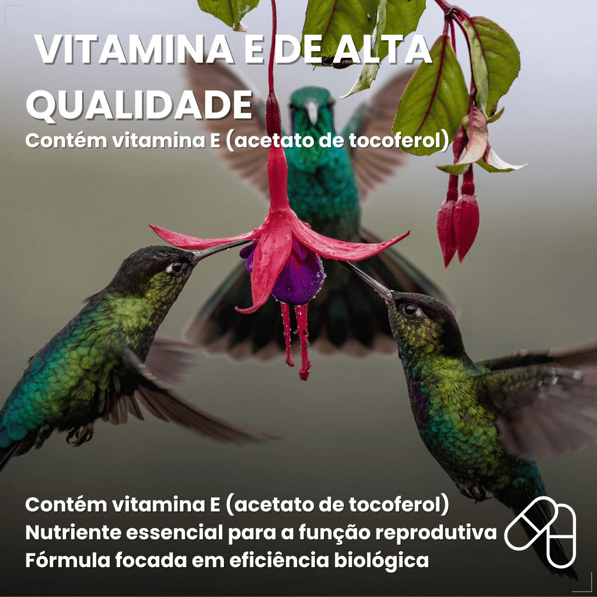 Avitrin E 15ml Vitamina Essencial Para Pássaros Reprodução