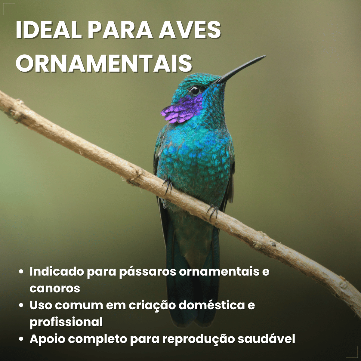 Avitrin E 15ml Vitamina Essencial Para Pássaros Reprodução