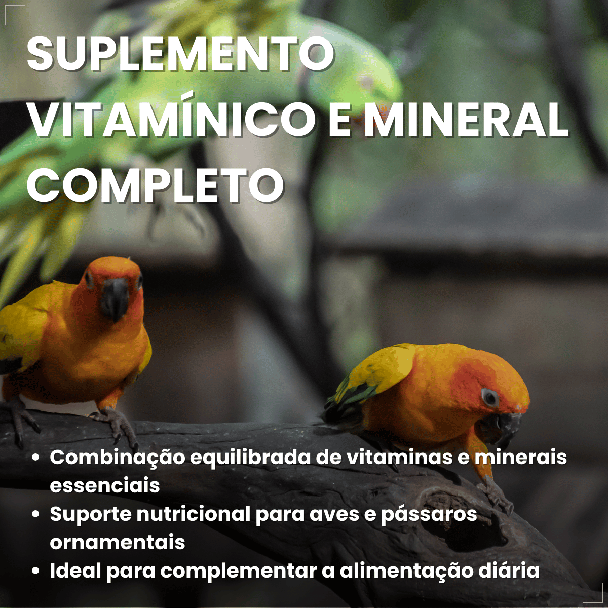 Avitrin Ferro Max 15ml Suplemento Vitaminico Para Aves