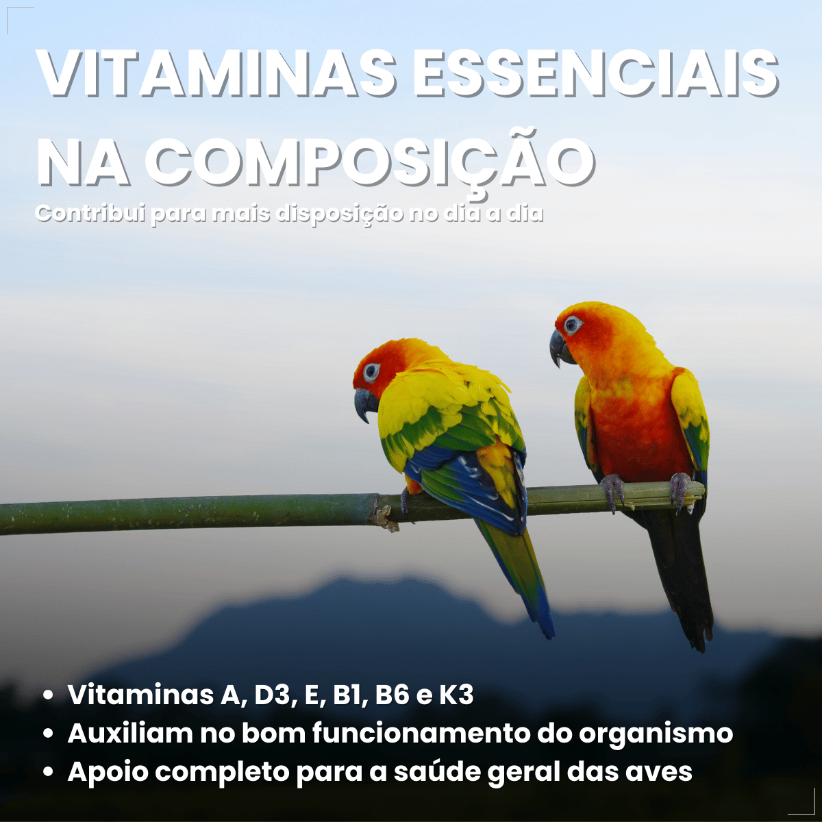 Avitrin Ferro Max 15ml Suplemento Vitaminico Para Aves