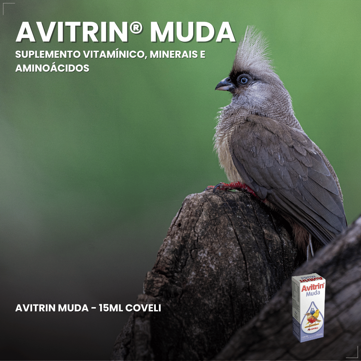 Avitrin Muda 15ml Coveli para aves e pássaros ornamentais