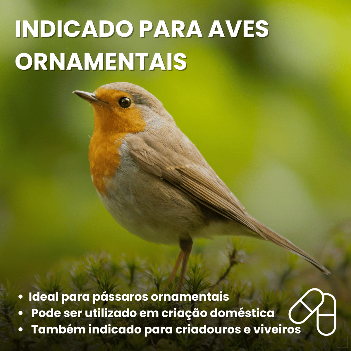 Avitrin Muda 15ml Coveli para aves e pássaros ornamentais