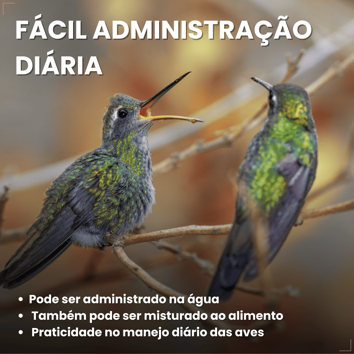 Avitrin Muda 15ml Coveli para aves e pássaros ornamentais
