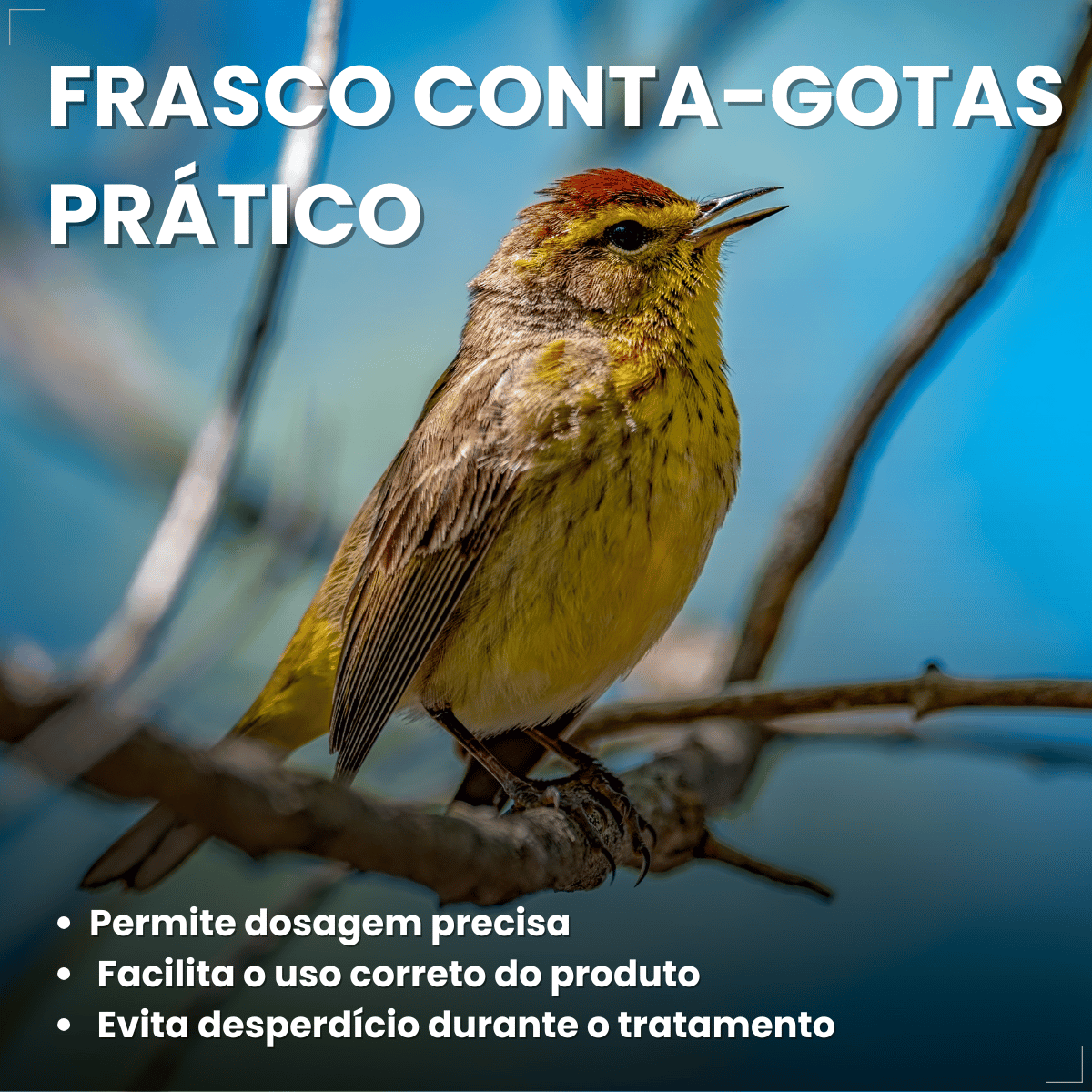 Avitrin Muda 15ml Coveli para aves e pássaros ornamentais