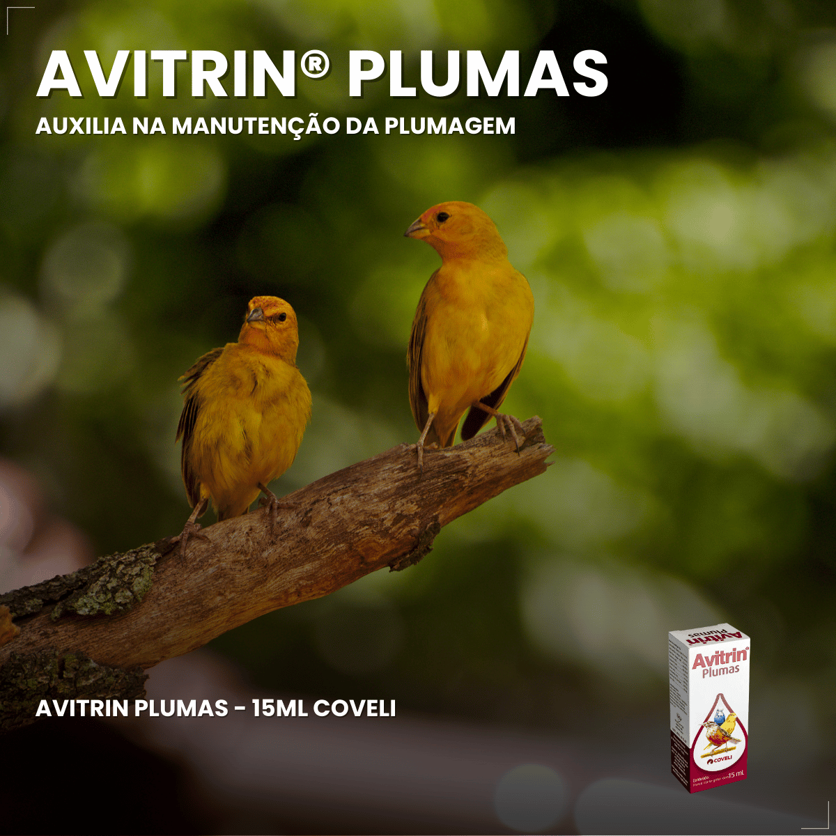 Avitrin Plumas Suplemento para Pássaros 15 ml