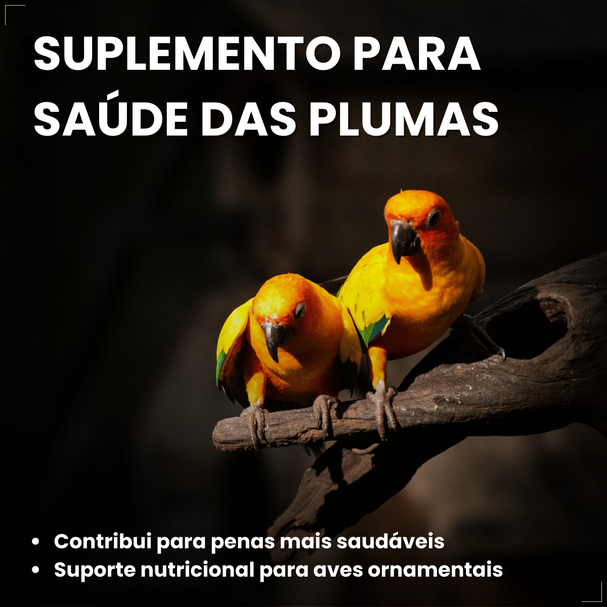 Avitrin Plumas Suplemento para Pássaros 15 ml