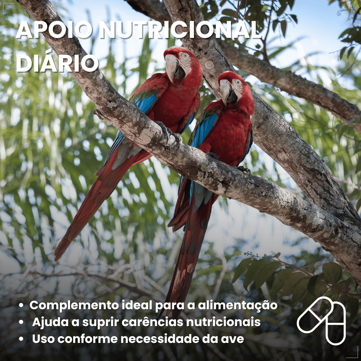 Avitrin Plumas Suplemento para Pássaros 15 ml