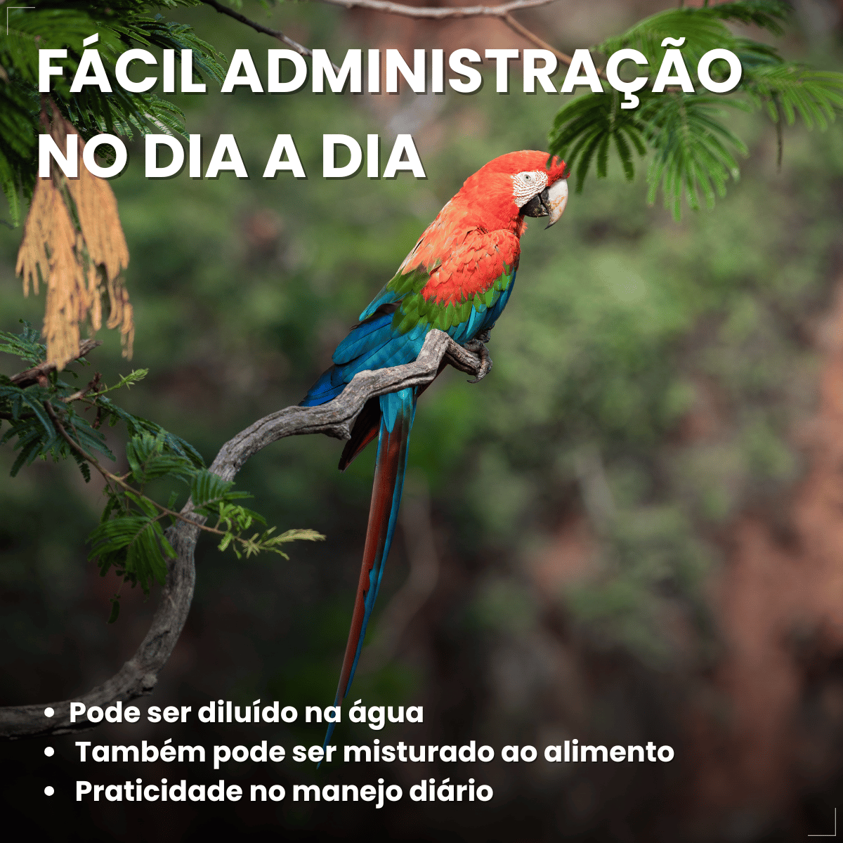 Avitrin Plumas Suplemento para Pássaros 15 ml