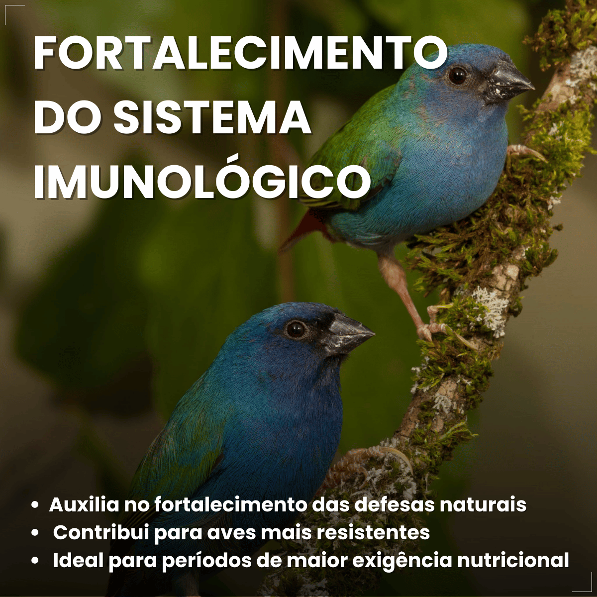 Avitrin Promune Própolis Coveli 15ml