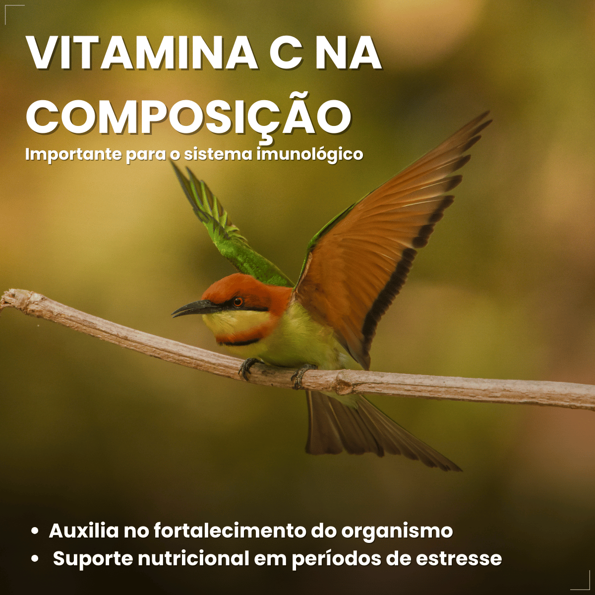 Avitrin Promune Própolis Coveli 15ml