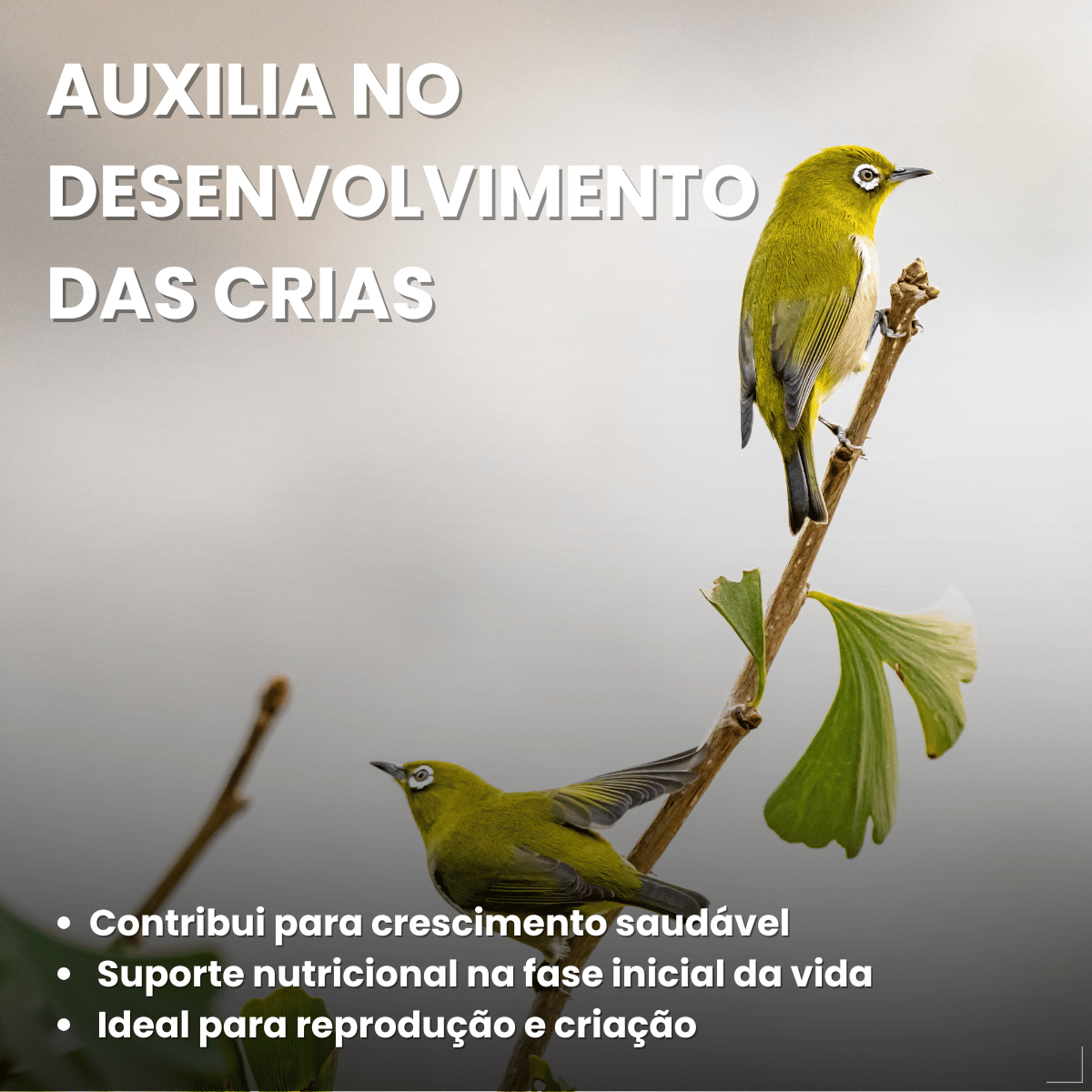 Avitrin Promune Própolis Coveli 15ml