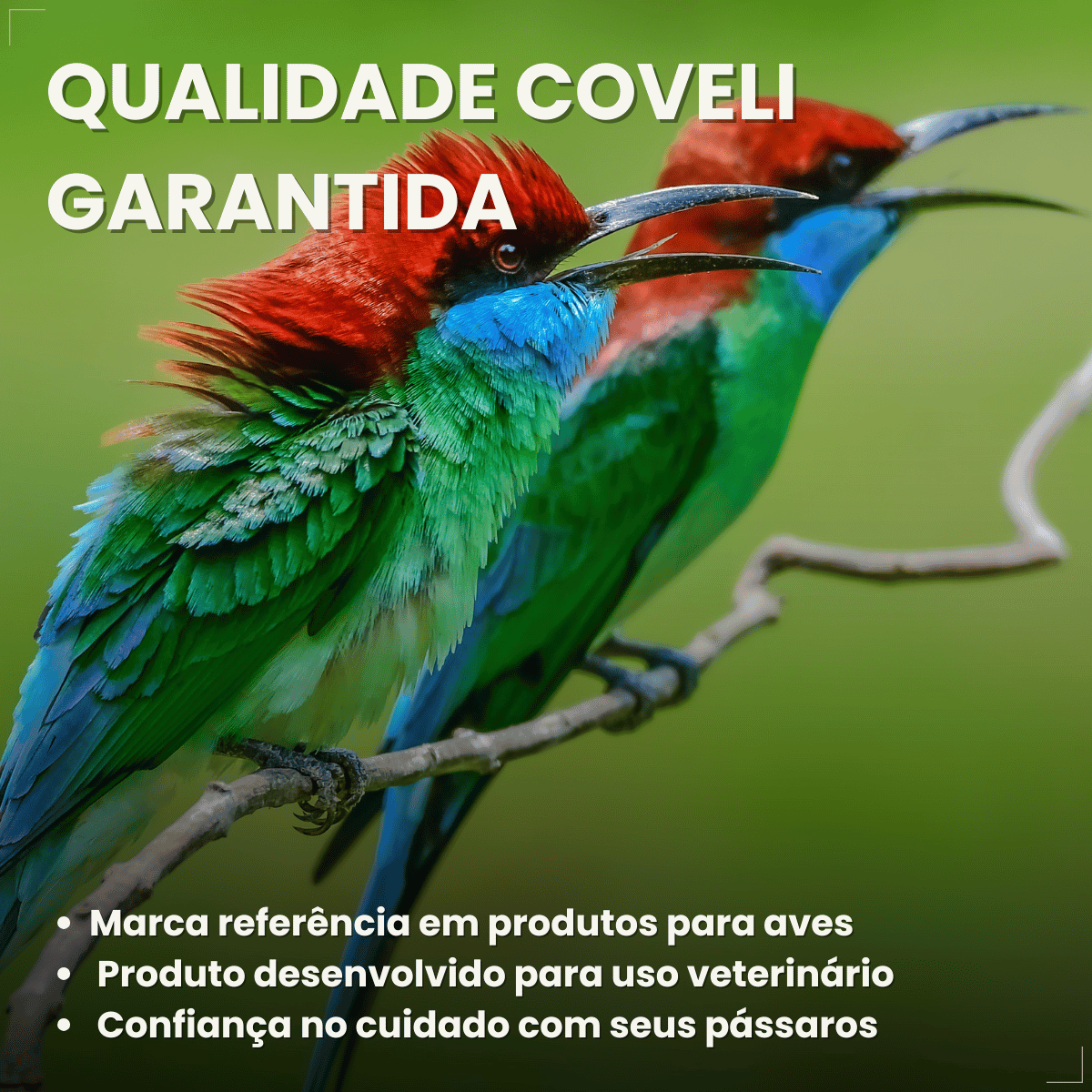 Avitrin Promune Própolis Coveli 15ml