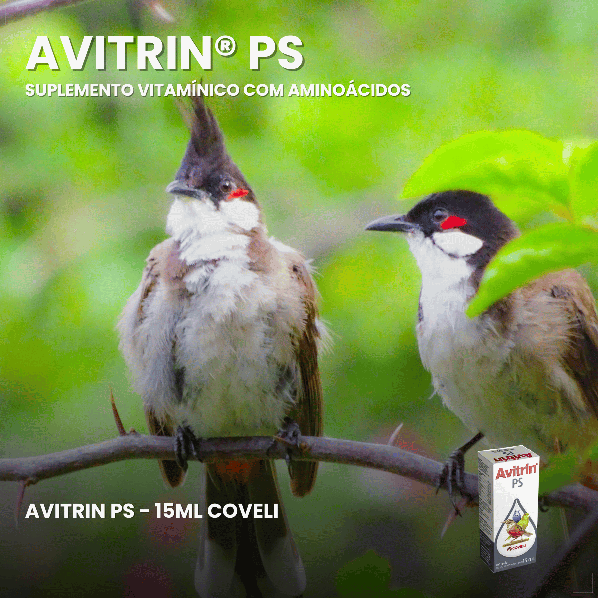 Avitrin Ps 15ml Coveli para pássaros