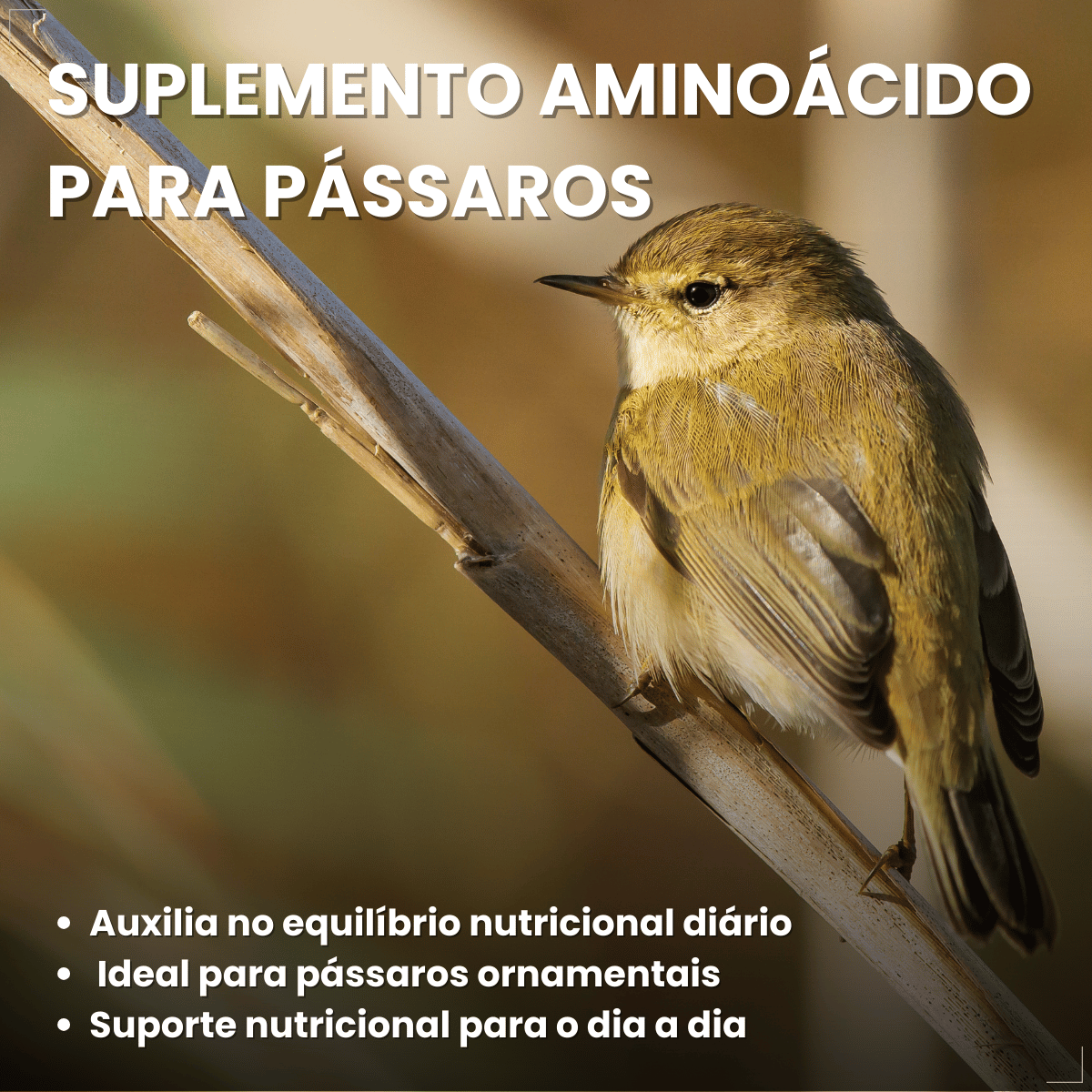 Avitrin Ps 15ml Coveli para pássaros