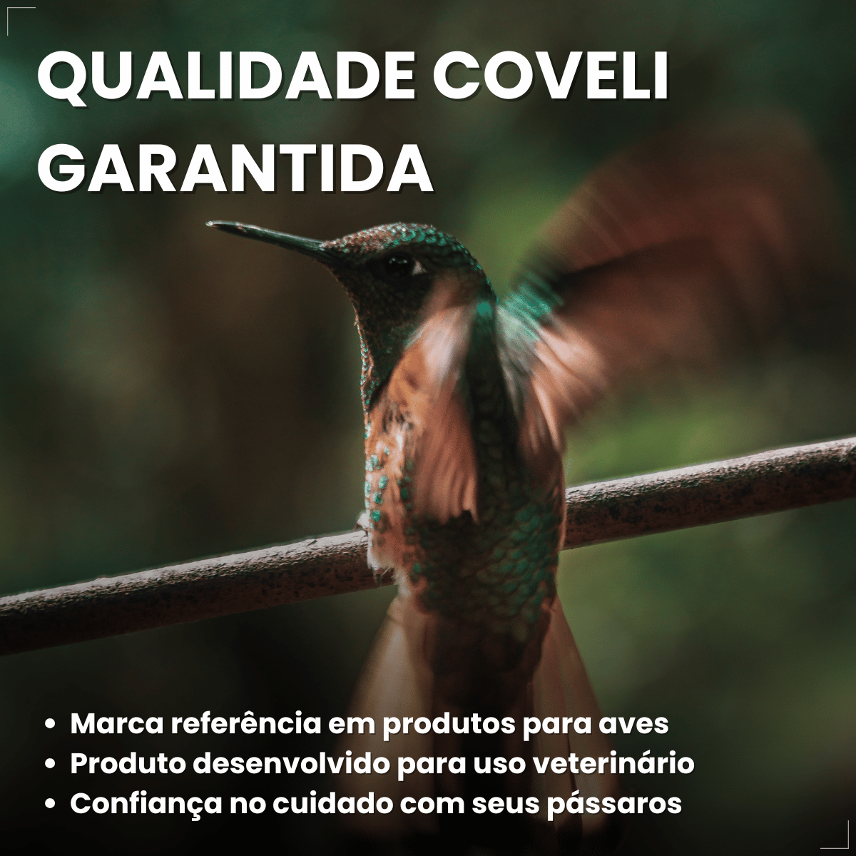 Avitrin Ps 15ml Coveli para pássaros