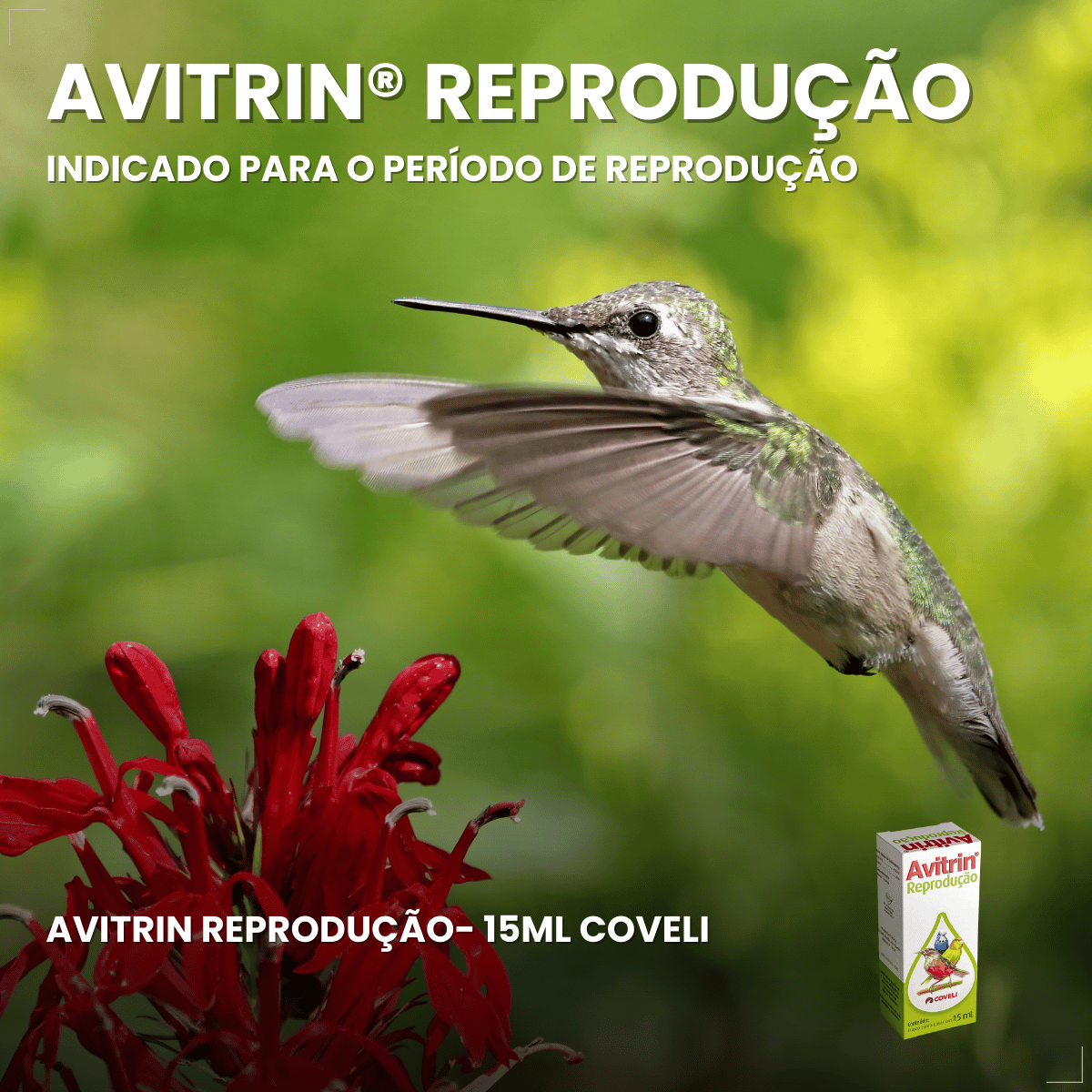 Suplemento Vitamínico Avitrin Reprodução Coveli - 15ml