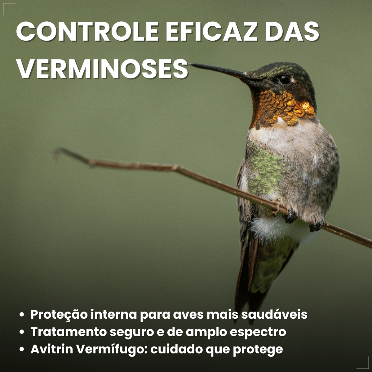 Avitrin Vermífugo para pássaros 10ml