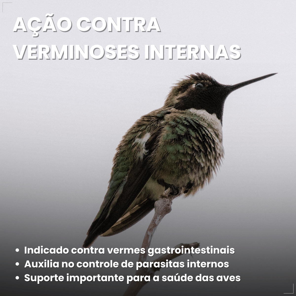 Avitrin Vermífugo para pássaros 10ml