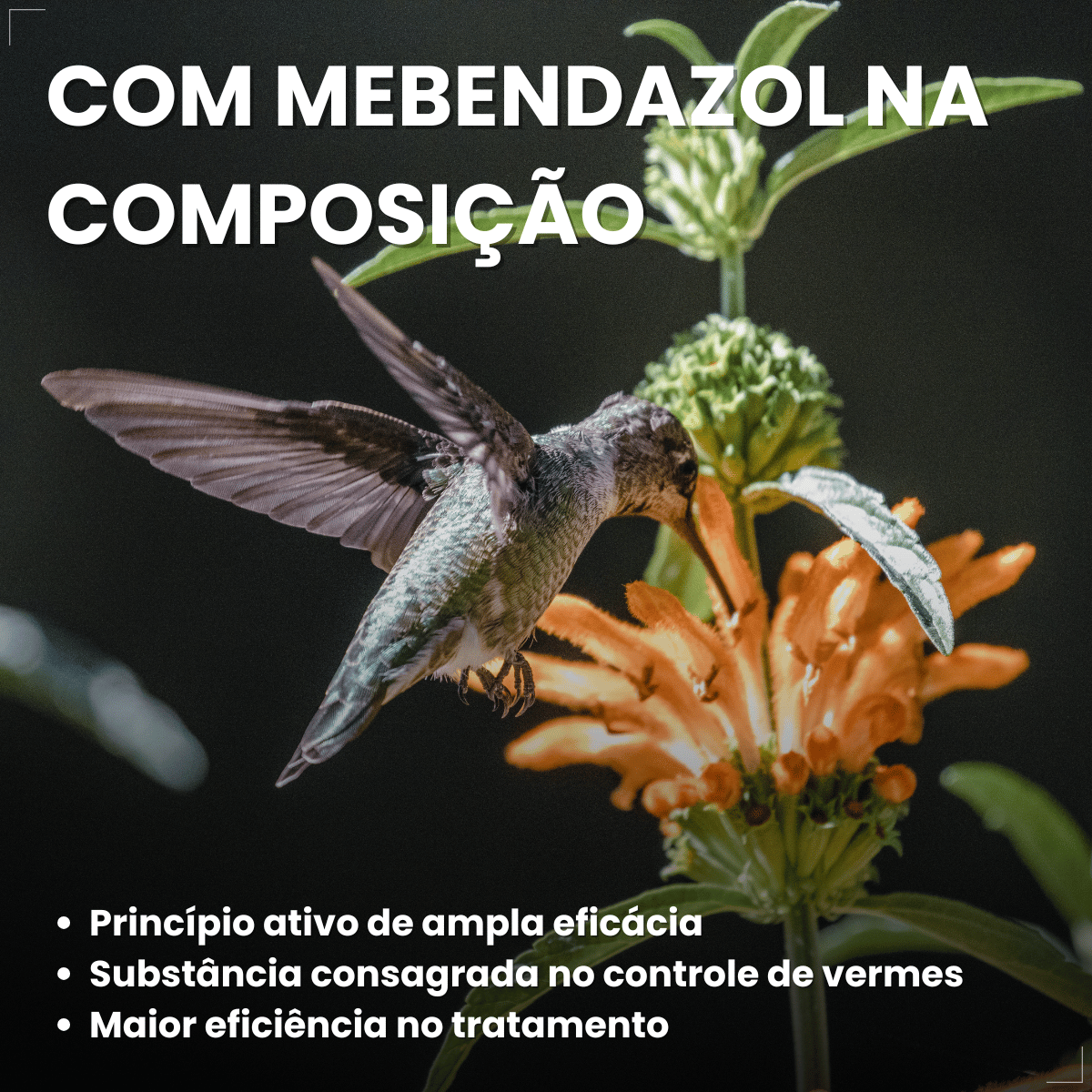Avitrin Vermífugo para pássaros 10ml