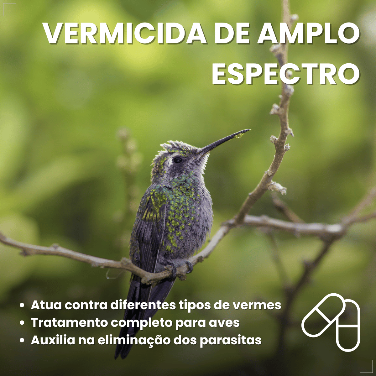 Avitrin Vermífugo para pássaros 10ml