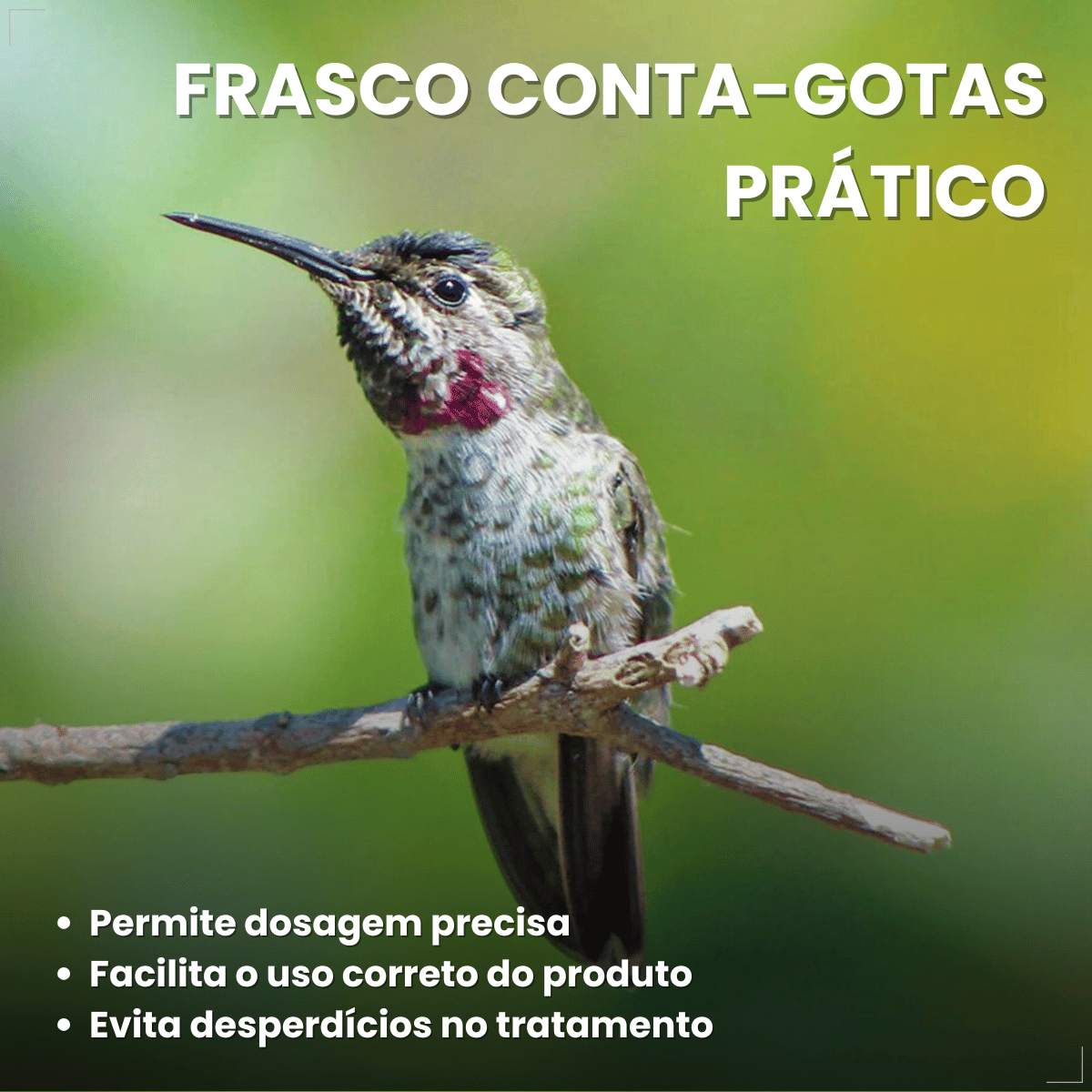 Avitrin Vermífugo para pássaros 10ml