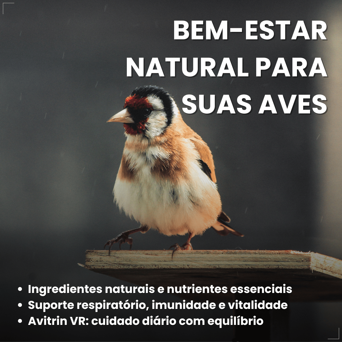 Avitrin VR Eucalipto Gengibre Própolis e Zinco Coveli 15ml