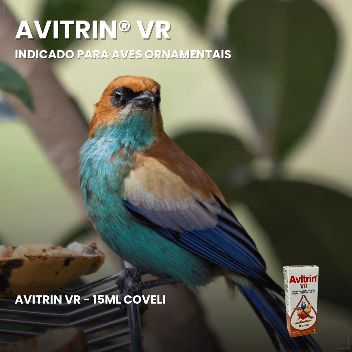 Avitrin VR Eucalipto Gengibre Própolis e Zinco Coveli 15ml