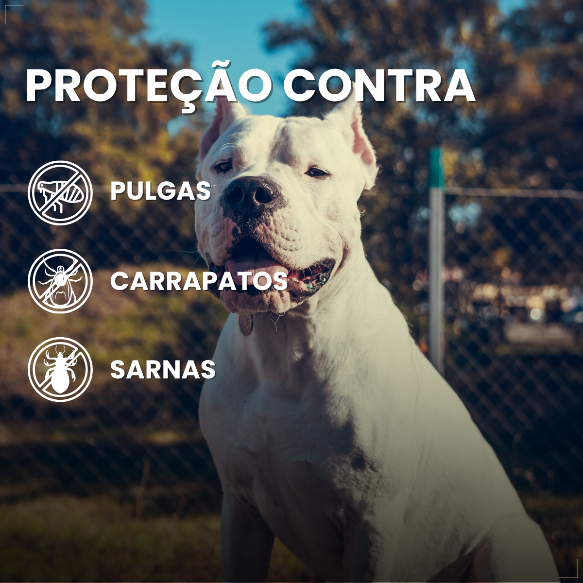 Zoetis Simparic 120mg 3 Comprimidos Cães 40.1 A 60 Kg