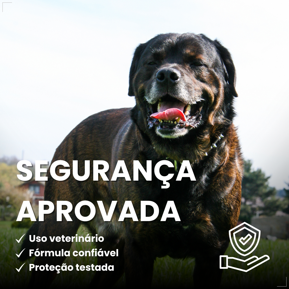 Zoetis Simparic 120mg 3 Comprimidos Cães 40.1 A 60 Kg