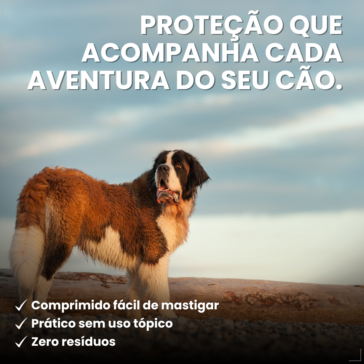 Zoetis Simparic 120mg 3 Comprimidos Cães 40.1 A 60 Kg