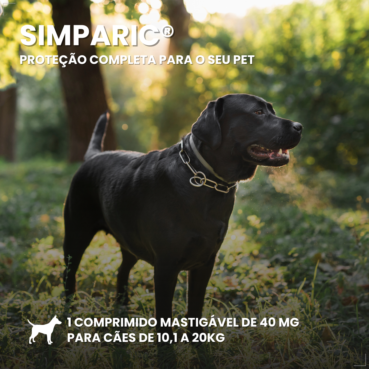 Simparic Zoetis 40 Mg 10,1 A 20 Kg 1 Comprimido