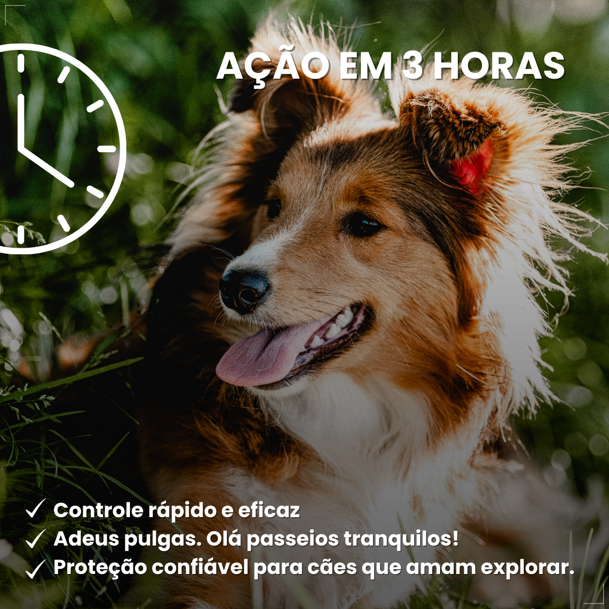 Simparic 40 Mg Antipulgas Cães 10 A 20 Kg 3 Comp Zoetis