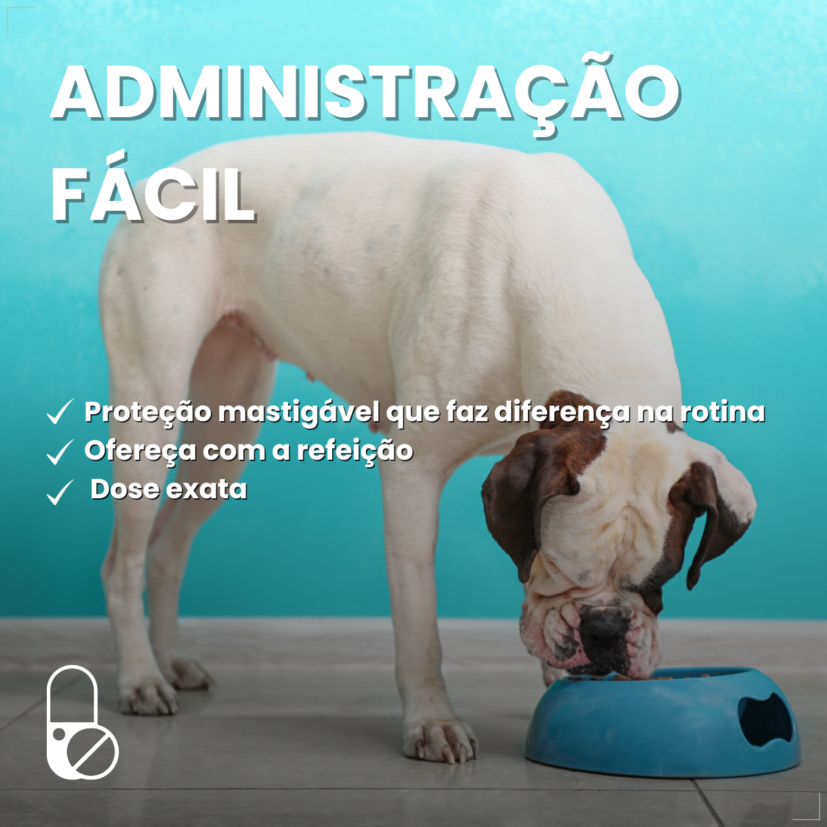 Simparic 40 Mg Antipulgas Cães 10 A 20 Kg 3 Comp Zoetis