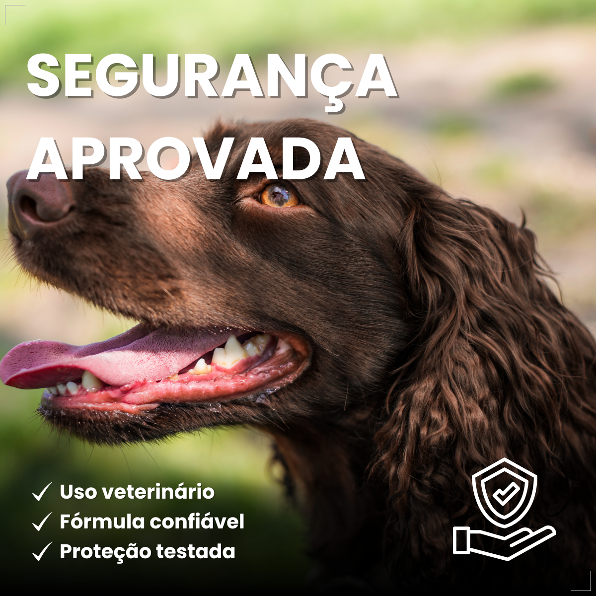 Simparic 40 Mg Antipulgas Cães 10 A 20 Kg 3 Comp Zoetis