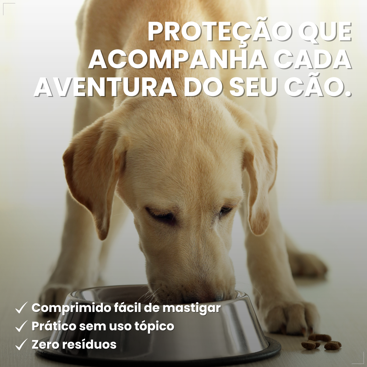 Simparic Zoetis 40 Mg 10,1 A 20 Kg 1 Comprimido