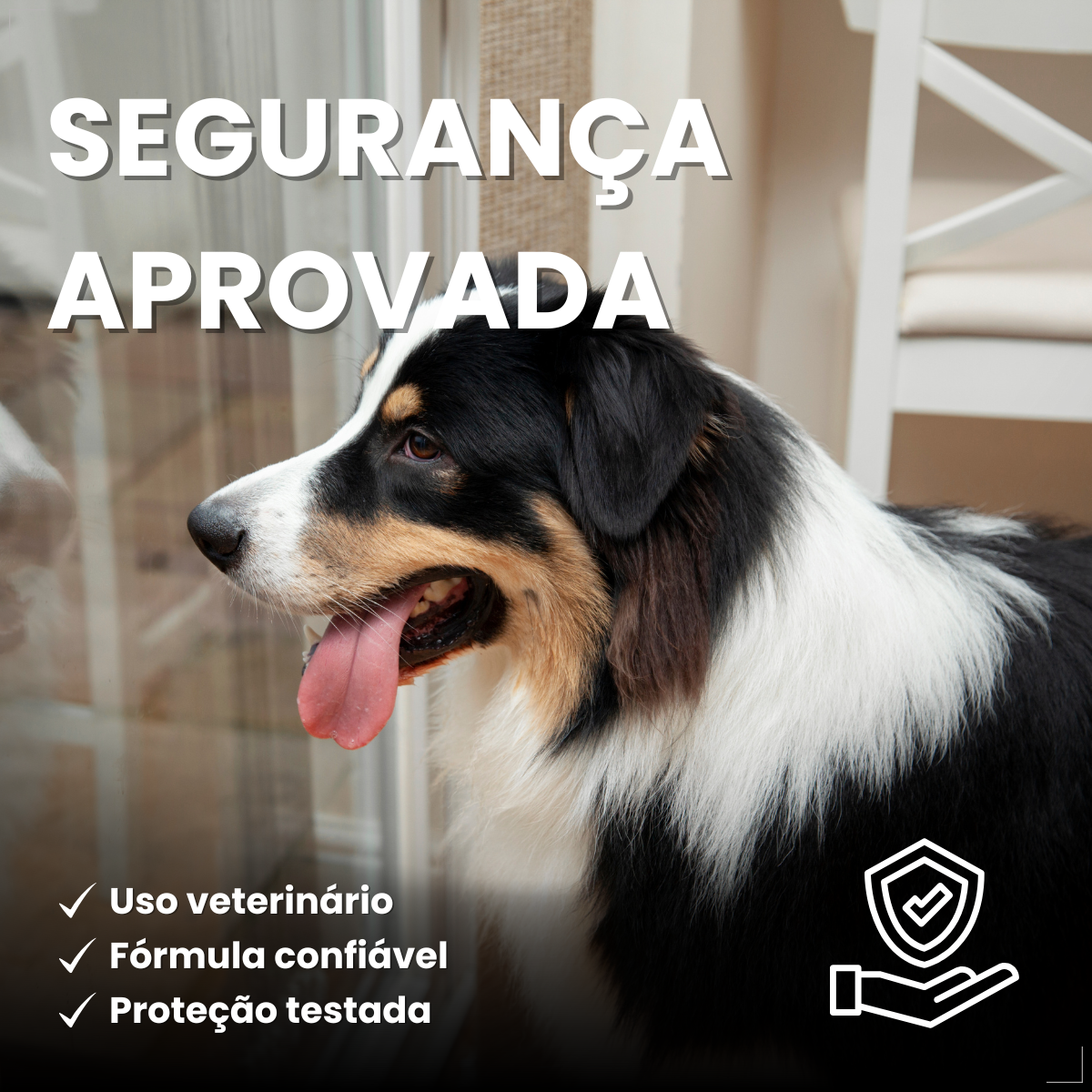 Zoetis Simparic 80 mg para Cães 20,1 a 40 Kg 1comprimido pulgas e carrapatos