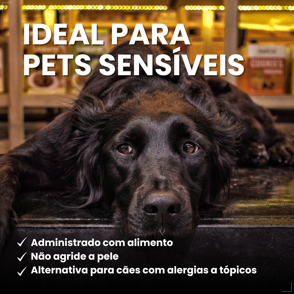 Zoetis Simparic 80 mg para Cães 20,1 a 40 Kg 1comprimido pulgas e carrapatos