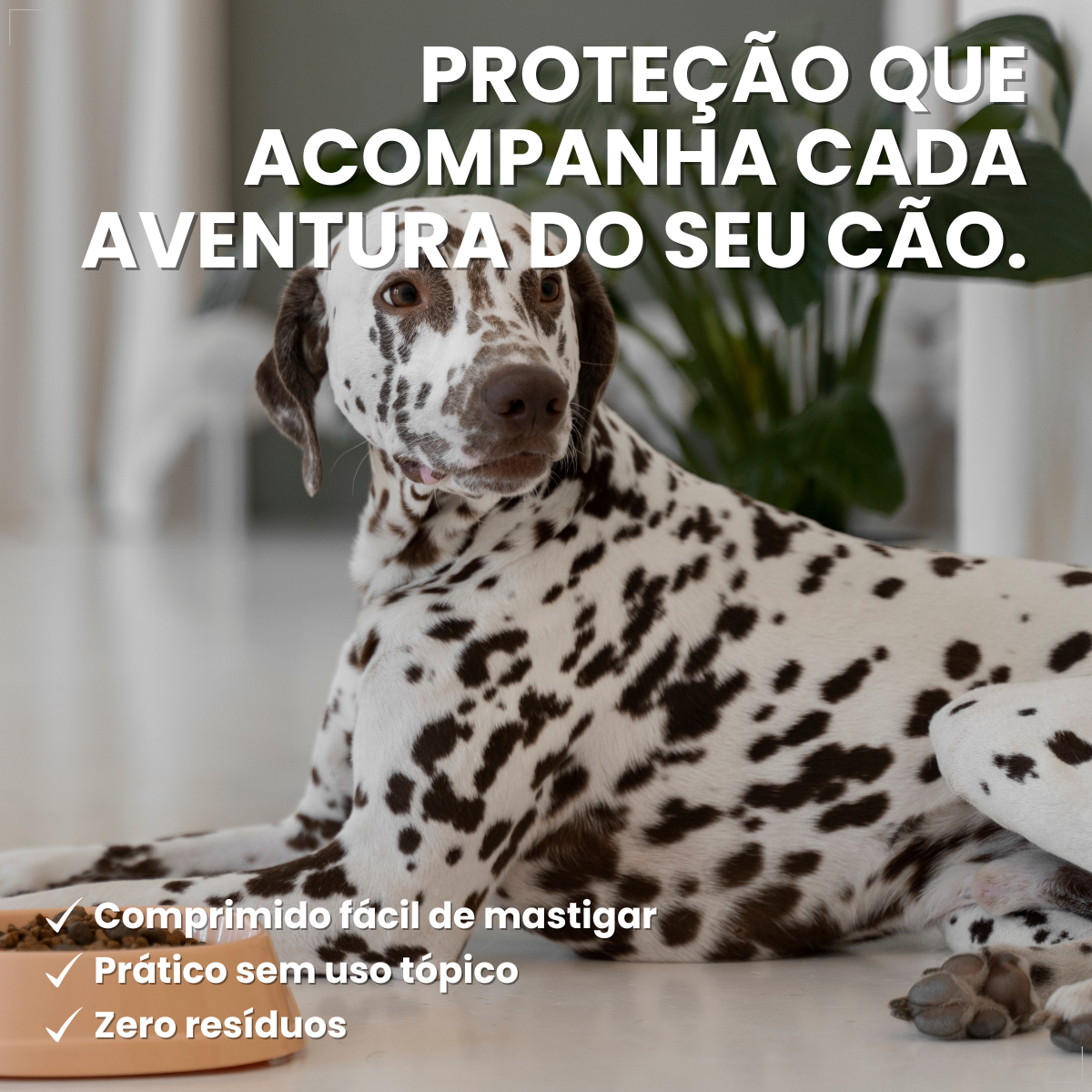 Zoetis Simparic 80 mg para Cães 20,1 a 40 Kg 1comprimido pulgas e carrapatos