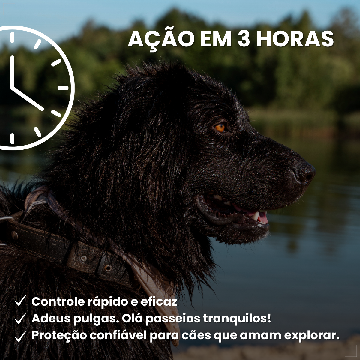 Simparic 120mg 1 Comprimido Cães 40,1 - 60kg Zoetis